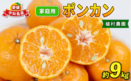 ポンカン 9kg みかん 家庭用 植村農園 ﾎﾟﾝｶﾝ ﾎﾟﾝｶﾝ ﾎﾟﾝｶﾝ B010-153005