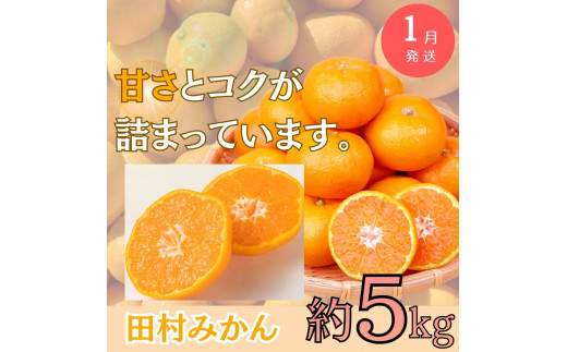【全3回定期便】旬のフルーツ定期便 【田村みかん /  紀州デコ(不知火) /  桃】 ～和歌山の旬をお届けします～ / みかん ミカン 温州みかん 有田みかん 不知火 デコポン 桃 もも モモ 柑橘