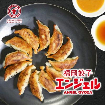 ふるさと納税 大牟田市 福岡エンジェル餃子の5種食べ比べセット+お試しタレ3種 |  | 01