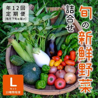 ふるさと納税 能勢町 【発送月固定定期便】大阪能勢産　べじたぶるぱーくの新鮮野菜詰合せLセット(10種類)　下旬全12回