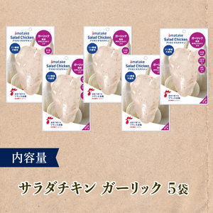 【3ヶ月/定期便】 サラダチキン ガーリック味 100g×5個 計500g 3回 リン酸不使用 冷凍 鶏肉 サラダ スパイス お弁当 おかず