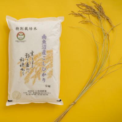 ふるさと納税 南魚沼市 【令和7年産 】 南魚沼産コシヒカリ「特別栽培米(アファス認証)」精米5kg