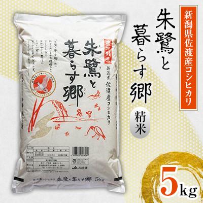 ふるさと納税 佐渡市 【令和7年産】佐渡産コシヒカリ「朱鷺と暮らす郷」5kg