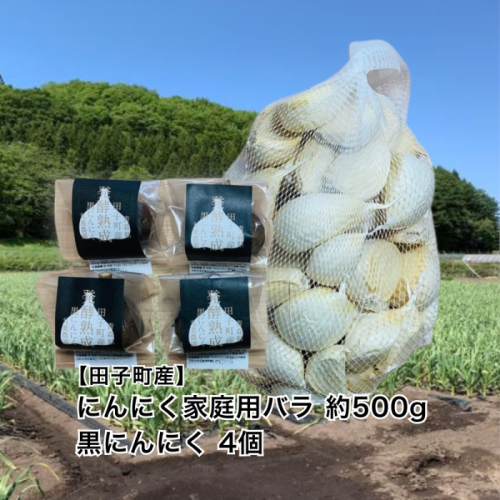 丸美農園 田子産にんにく家庭用バラ 約500g＋黒にんにく 4個