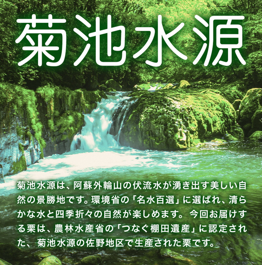 菊池水源産 さのまろん 冷凍剥き栗 内容量 約800g 農事組合法人菊池佐野《30日以内に出荷予定(土日祝除く)》熊本県 菊池市 栗 むき栗 筑波 冷凍 熊本県産 九州産 国産 送料無料 ---176