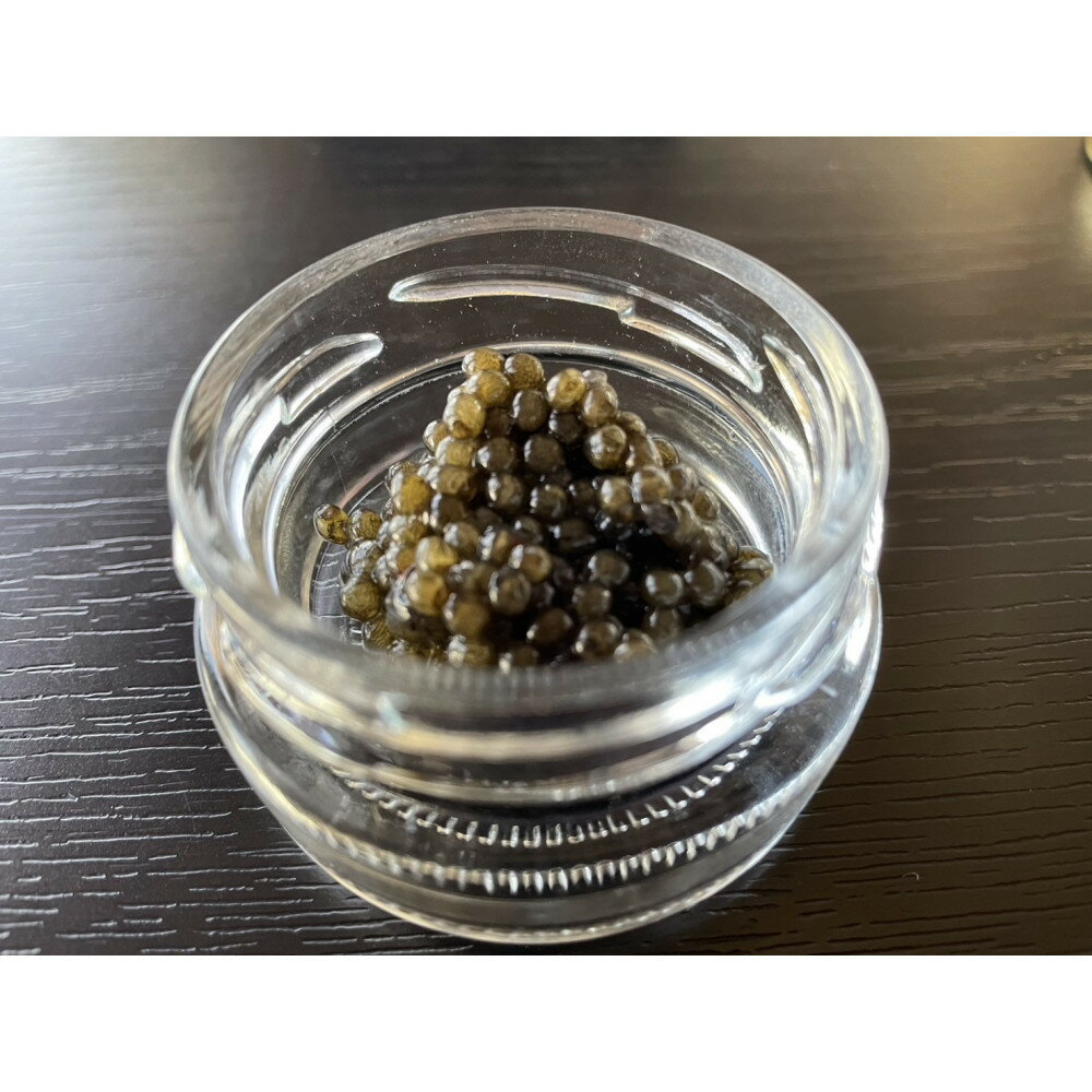 【ふるさと納税】南信州キャビア「天女のほほ笑み」8g | 魚卵 魚介類 水産 食品 人気 おすすめ 送料無料