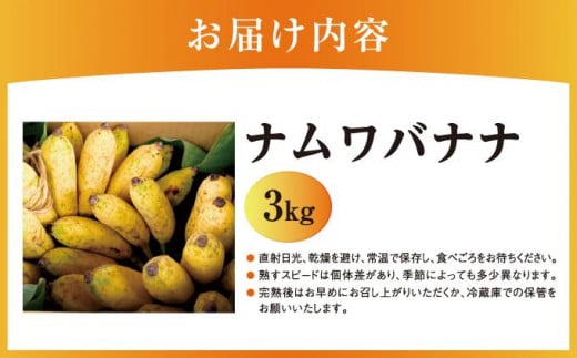 バナナ 南城市 ナムワバナナ3kg   I バナナ 国産フルーツ  3000g 3kg   沖縄県 南城市 ふるさと納税 グリーンフロッグファーム