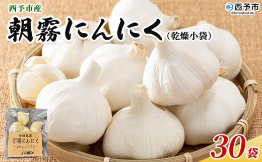 ＜西予市産 朝霧にんにく（乾燥小袋）1袋20g入り 30袋セット＞ 国産 ニンニク 小分け 30袋 セット 愛媛県産 野菜 やさい ドライ 大粒 ストック 薬味 特産品 ノムランド 愛媛県 西予市【常温】『2026年7月頃より順次発送予定』