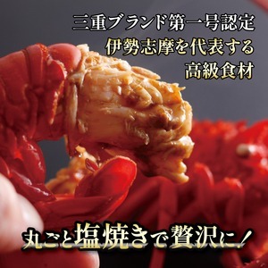 【伊勢海老】 1kg 3尾 ～ 6尾 冷凍 伊勢エビ 伊勢エビ 