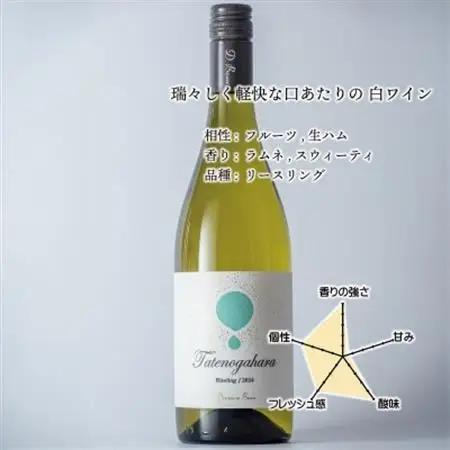 立野原 リースリング 2024【配送不可地域：離島】【1623341】