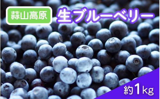 【2026年先行予約】蒜山高原 生ブルーベリー 1kg / 国産 ブルーベリー フルーツ 新鮮 果物 産直 産地直送 数量限定 岡山県 真庭市 蒜山 【kbkb001-01】