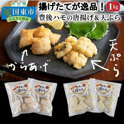 ふるさと納税 国東市 揚げたてが美味!豊後ハモの唐揚げ&amp;天ぷら/1kg_0274N