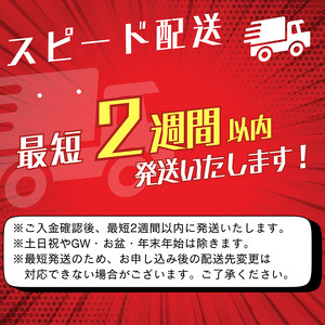 麗人 Reneu[レノイ)] 3種6缶セット / 麗人酒造 諏訪五蔵 日本酒 信州 長野県 諏訪市 諏訪 [37-10]