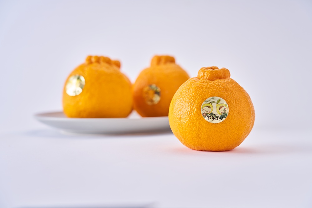 先行予約  加温栽培 不知火 約3kg（約7玉～10玉） 2026年12月上旬から中旬発送予定 しらぬい 蜜柑 国産 熊本県産 九州産 宇城市産 坂下園
