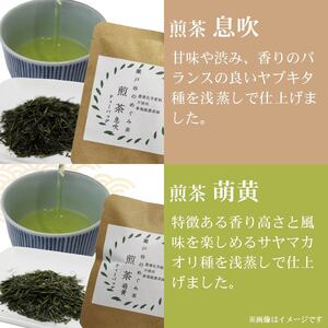 お茶 ティーバッグ 7種セット 煎茶 静岡茶 お茶 お茶