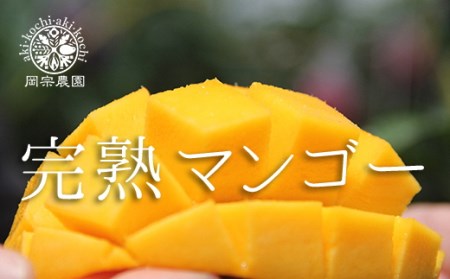 メリーガーデンの完熟マンゴー&生ライチセット【1.5万円】