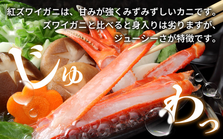 【先行予約】【12月発送】【数量・期間限定】福井県産 越前 紅ズワイガニ ×2杯【急速冷凍】(プロトン凍結)