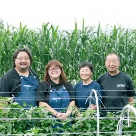 旬のとれたて野菜セット(7~10品)レギュラーサイズ【こんたでぃーの遠野】【配送不可地域：離島】【1328912】