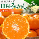 【ふるさと納税】【先行予約】有田みかん 秀品 約 5kg 2Sサイズ 高級ブランド 田村みかん 小玉 みかん 温州みかん フルーツ 果物 柑橘 果汁 ジューシー 赤秀品 青秀品 国産 食品 食べ物 期間限定 お取り寄せ 和歌山県 湯浅町 送料無料