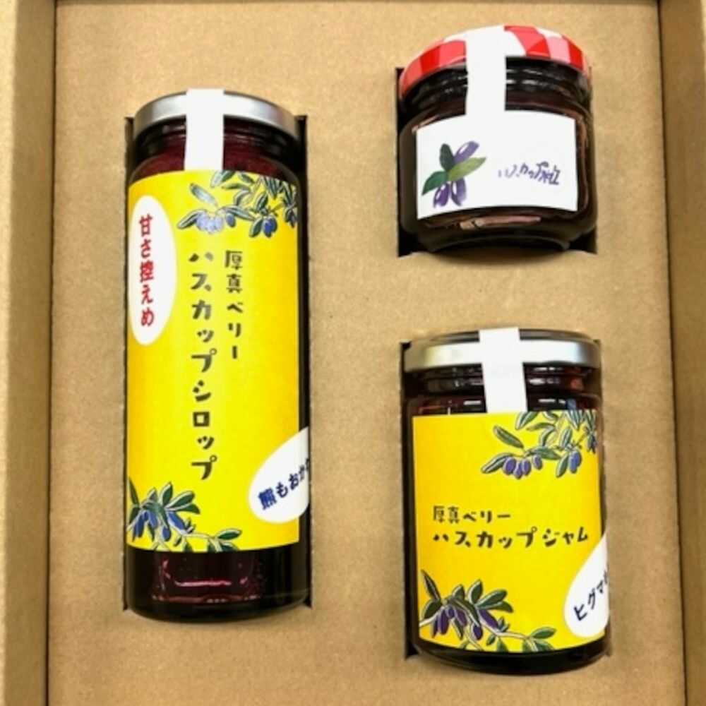 【ふるさと納税】ハスカップシロップ・粒・ジャム 各1本セット【株式会社知熊屋】[AXBN008] 北海道 フルーツ ジャム フルーツ シロップ 健康 美容