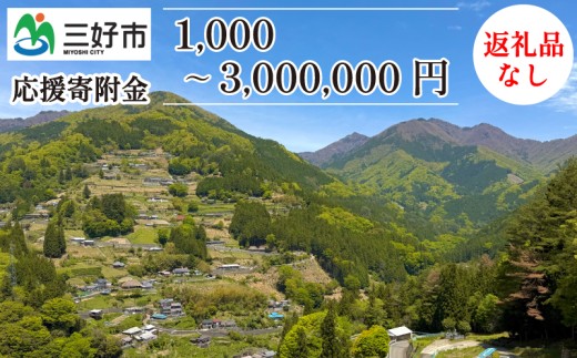【 返礼品なし 3,000円 】 徳島県 三好市 への 寄附 応援寄附金