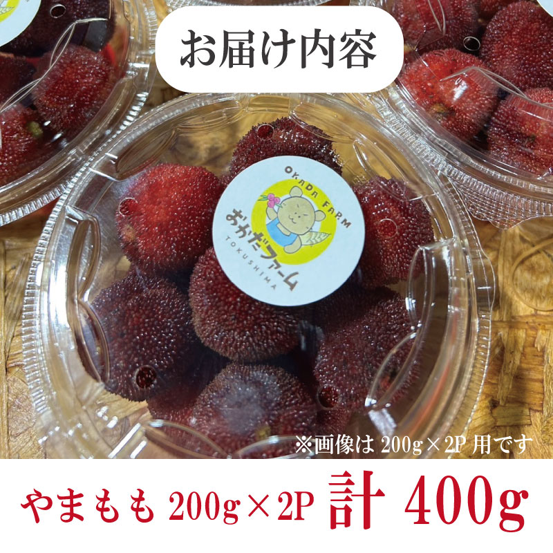 【先行予約】やまもも 400g 2026年6月下旬より順次発送 小分け パック 季節 フルーツ レア ベリー 山桃 健康 ジャム 果実酒 おやつ お菓子 スムージー 小松島市 国産