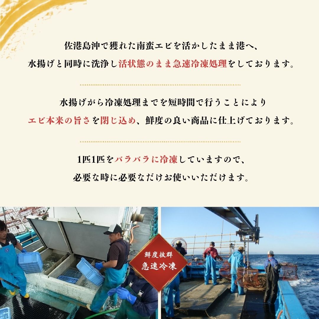 佐渡産 冷凍南蛮エビ 800g195961-0008