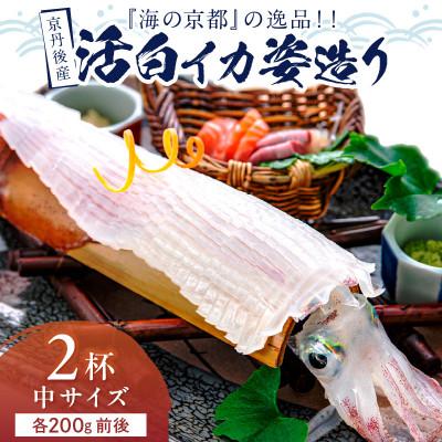 ふるさと納税 京丹後市 京丹後産『海の京都』の逸品!活白イカ姿造り(クリスタル白いか)中サイズ 2杯(200g前後) 冷凍