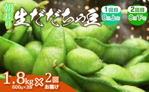 【令和6年産先行予約】【定期便】 朝採り生だだちゃ豆 1.8kg(600g×3袋)×2回　旬2回お届け（8月上旬、8月下旬） 山形県鶴岡市産　鶴岡ファーマーズ