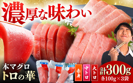 対馬産本マグロ詰め合わせ トロの華 [WAQ003] まぐろまぐろまぐろまぐろまぐろまぐろまぐろまぐろまぐろ