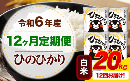 【12ヶ月定期便】令和6年産 白米 ひのひかり 定期便 20kg《お申込み月の翌月から出荷開始》令和6年産 熊本県産 ふるさと納税 精米 ひの 米 こめ ふるさとのうぜい ヒノヒカリ コメ お米 hino