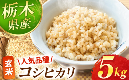 真岡市産 こしひかり 玄米 5kg |  