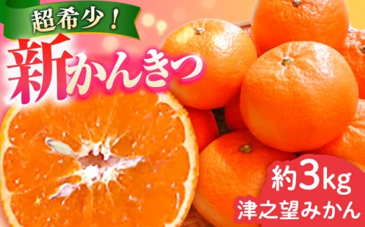 津之望 約3kg（つののぞみ） 長与町/果豊園 [ECL008] 柑橘 果物 フルーツ みかん ミカン  長与町 長崎県 国産 九州 産地直送