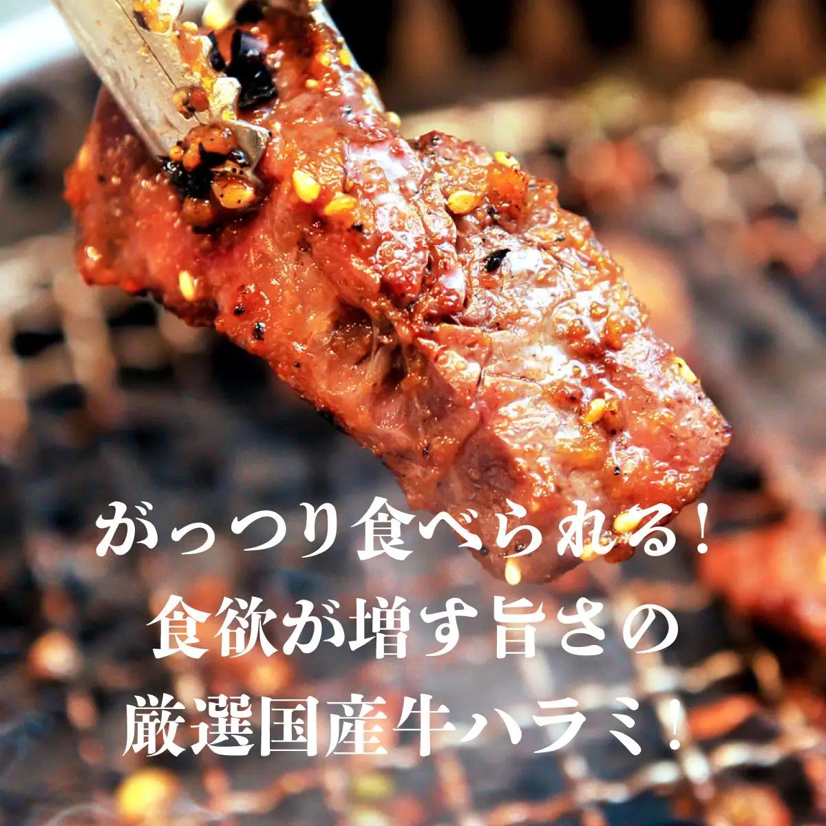 ヤマジュウの特選タレ漬け！和牛ハラミ肉５００g＆国産牛ホルモン３００ｇ