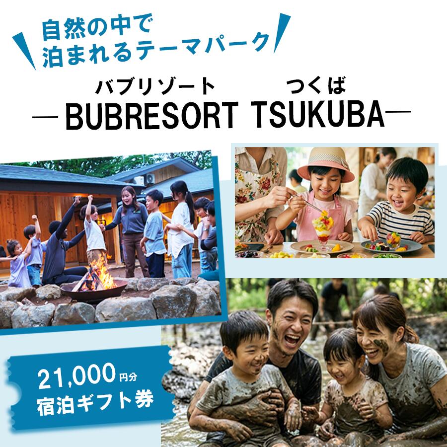 【ふるさと納税】BUB RESORT Tsukuba 利用クーポン券（21,000円分）家族で感動体験 | 茨城県 つくば市 グランピング キャンプ リゾート 体験 アクティビティ 宿泊 家族 子供 ファミリー 体験型 バブリゾート 宿泊券 宿泊チケット ホテル 宿