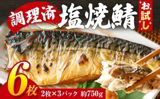 お試し さば 塩サバ 塩焼鯖6枚 大ぶり 調理済 レンチン 温めるだけ 脂のり 惣菜 晩御飯 おかず ジューシー 冷凍 お弁当 レンジ調理 サバ 自社製造 朝ごはん 和食 簡単調理 アレンジ 塩焼き