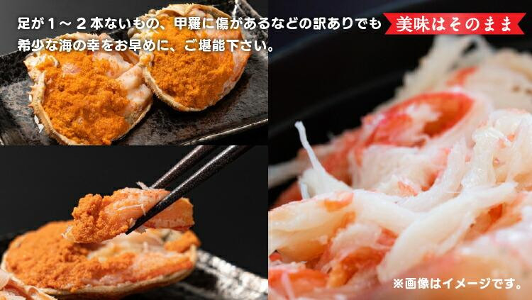 923.【活】鳥取県産　訳あり　良品セコガニ　お試しパック　約500ｇ（2～4枚）《かに カニ 蟹 セコガニ》※2026/11/6～2026/12/29に順次発送予定※着日指定不可  離島不可（北海道