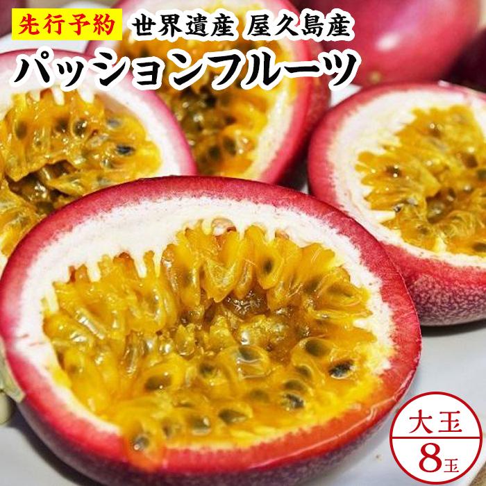 【ふるさと納税】【2026年発送先行受付】絶品パッションフルーツ大玉（8玉）“屋久島の恵み”と“愛情”込めて！ | 鹿児島 屋久島 屋久島町 ふるさと 納税 お取り寄せ ご当地 パッションフルーツ フルーツ 果物 くだもの 期間限定 数量限定