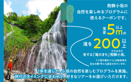 【216WORKS】体験電子チケット 9,000円分 （ニジイロワークス）電子クーポン 体験 サウナ アウトドア シャワクラ 滝めぐり ハイキング カフェトレッキング サイクリング 釣り 御岳山 登山