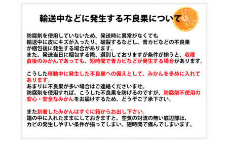 訳あり みかん 計10kg ミカン 蜜柑 果物 くだもの フルーツ 柑橘 【2026年10月上旬～2027年3月上旬発送予定】