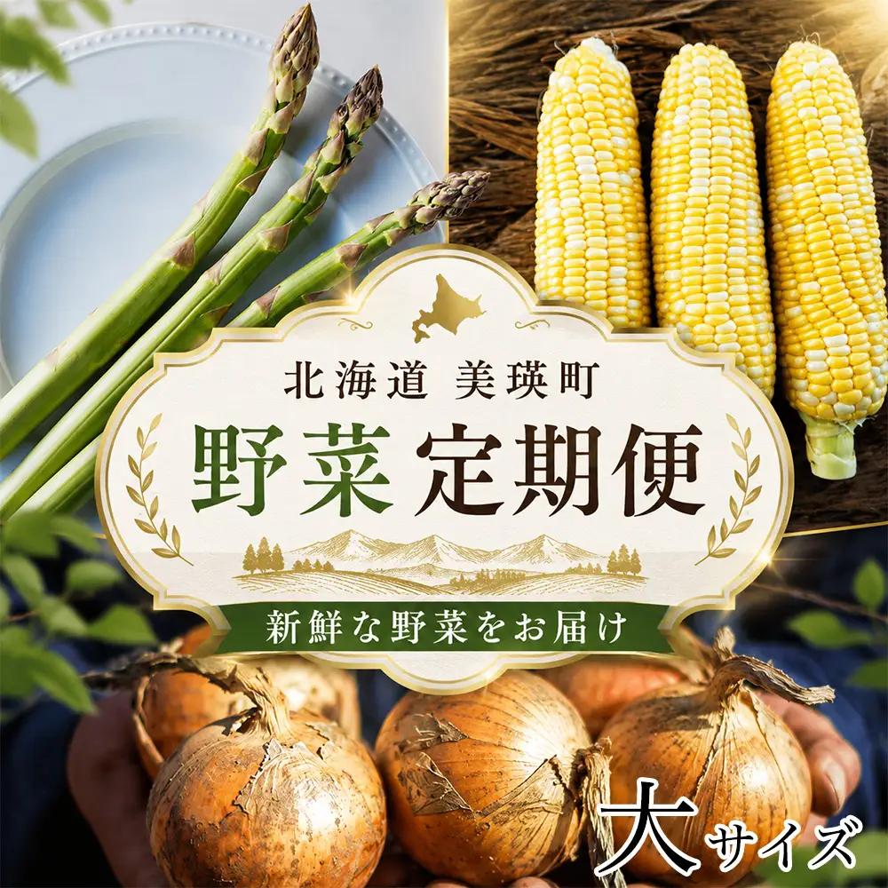 野菜定期便 3回便【令和9年産先行予約】本山農場の野菜定期便（大）野菜 セット