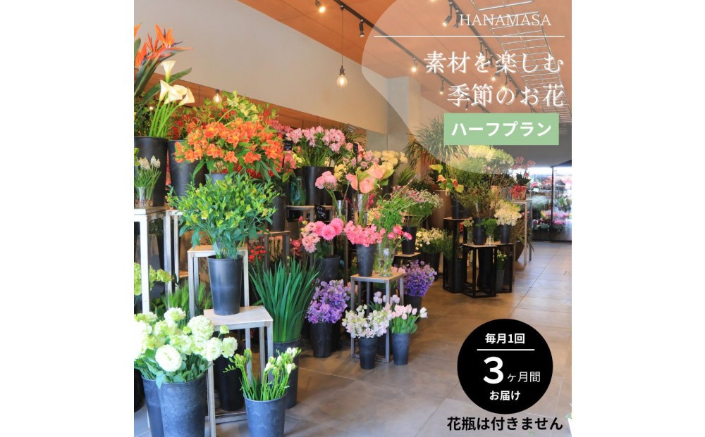 
                  素材を楽しむ季節のお花＊ハーフ＊(全3回)| 花 記念 誕生日 サプライズ ギフト プレゼント 神奈川県 小田原市 
                