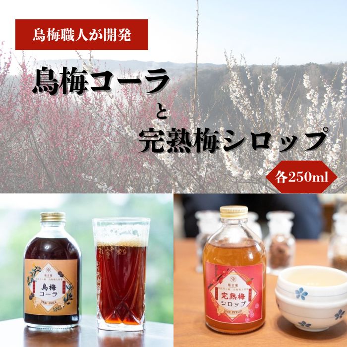 【ふるさと納税】 烏梅コーラ 完熟梅シロップ セット 梅ドリンク 梅シロップ 梅ジュース うめジュース 飲料 飲み物 スイーツコーラ シロップ 贈り物 ギフト 特産品 地域特産 梅加工品 果実酢 梅酢 クエン酸 ミネラル 奈良市 奈良県 梅古庵 17-004
