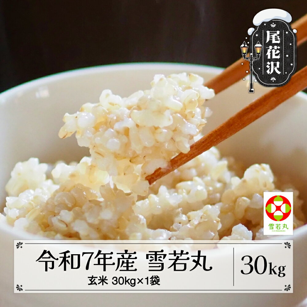 【ふるさと納税】【先行予約】令和7年産 新米 玄米 雪若丸 30kg 11月上旬~順次発送 2025年産 米 お米 国産 山形県 尾花沢市 kd-ywgxa30