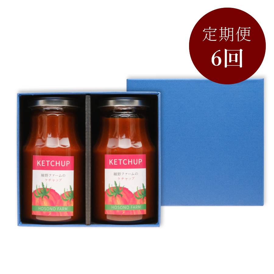 ＜細野ファーム＞「トマトケチャップ」300gx2(計600g)【６ヵ月定期便】