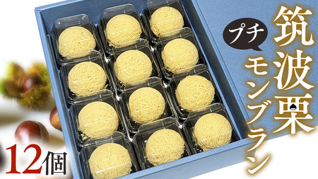 筑波 栗 の プチ モンブラン 約20g × 12個 和栗 和栗ペースト マロン クリーム 菓子 スイーツ オリジナル 洋菓子 和菓子 和スイーツ [EK011sa]