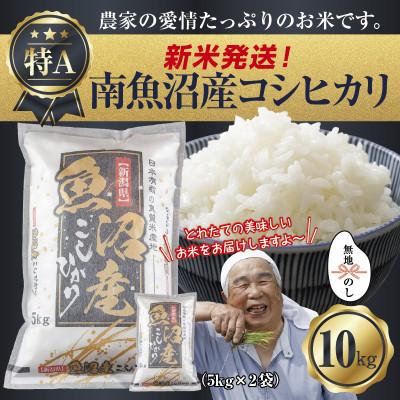 ふるさと納税 南魚沼市 【令和8年産 新米】 無地のし 南魚沼産 コシヒカリ 10kg (美味しいお米の炊き方ガイド付)