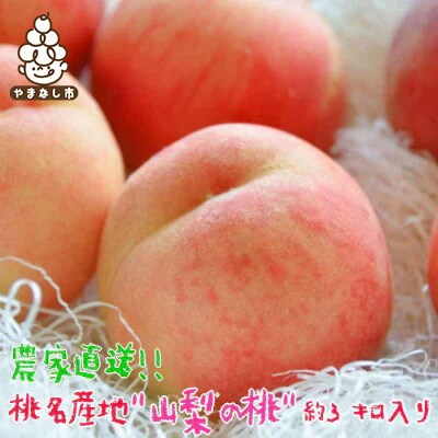 農家直送 桃名産地 山梨の桃 秀品 約3kg【配送不可地域：離島・沖縄県】