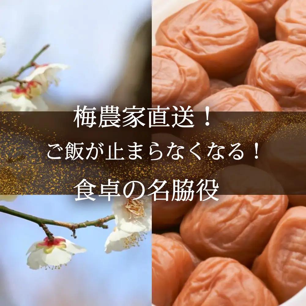 【2026年6月以降発送予定】 さっぱりなのにコクがある まろやか梅ぽんず　300ml（2本入）｜梅ぽん酢 ぽん酢 ポン酢 梅酢 お酢 梅加工品 国産 無添加 無着色 自然発酵 手作り こだわり 大容