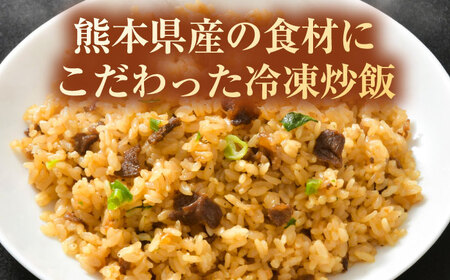 【全6回定期便】熊本県産 こだわり炒飯 大人の黒毛和牛炒飯 計2.3kg (230g×10) 冷凍食品 炒飯 [BHCS020]